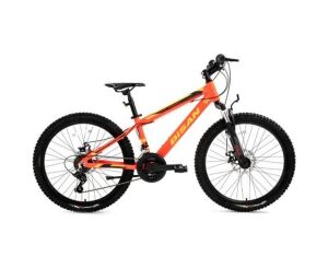 Bisan Kdx 2900 Yeşil 24 Jant Çocuk Bisikleti Disk Fren 21 Vites Çok Renkli